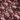Dior Oblique Sweater in Burgundy Cotton-Wool-Silk-Blend Jacquard