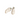 Golden Goose Superstar in White Ice Green Sneakers